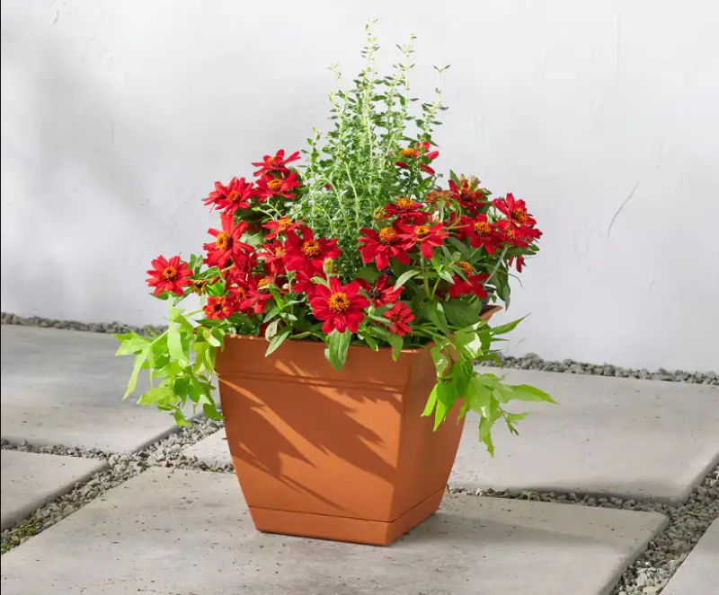 Read more about the article Choosing the Best Indoor Plant Pots and Containers
