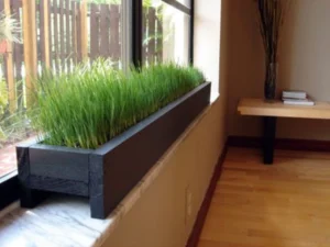 Read more about the article How to Build an Indoor Herb Garden