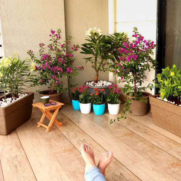 "Beautiful balcony garden featuring a variety of potted plants creating a green outdoor space."