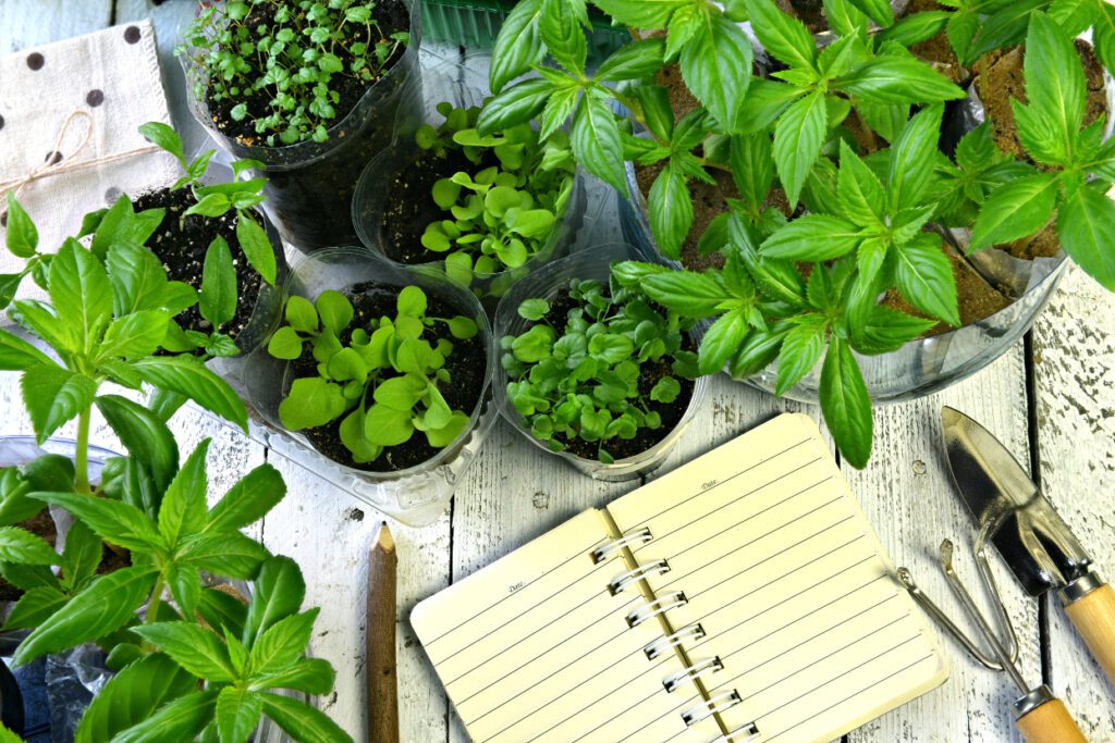 "Gardening journal alongside thriving green plants, used for tracking plant care and growth."