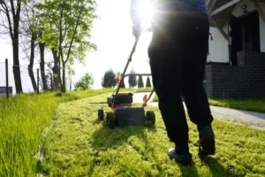 Read more about the article Natural Ways to Get Rid of Weeds Without Harming Your Lawn
