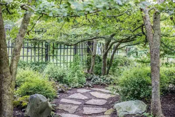 "Beautiful garden walkway with stone path winding through lush plants and flowers."