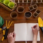 Outdoor Garden Maintenance Checklist: What to Do Each Month