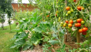 Read more about the article The Ultimate Beginner’s Guide to Growing Your Own Vegetables at Home