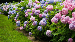 Read more about the article The Best Outdoor Plants for Every Season