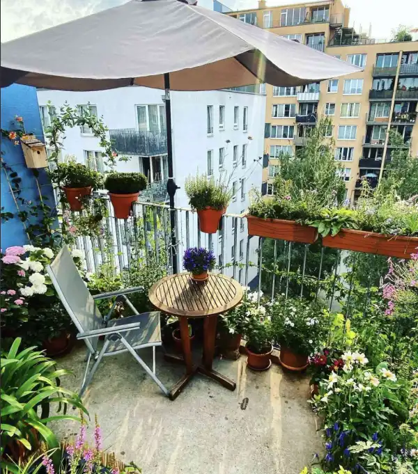 "Bright balcony filled with healthy potted plants thriving in natural light."