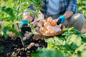 Read more about the article Best Organic Fertilizers for Fruit Plants (That You Can Make at Home)