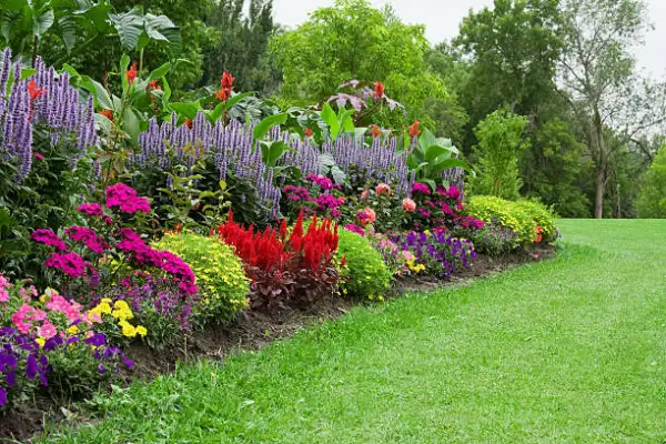 "Vibrant garden filled with beautiful flowers and lush green foliage"