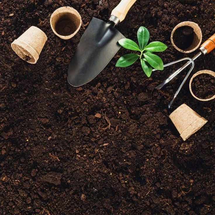 "Set of gardening tools and rich soil prepared for planting and garden maintenance."