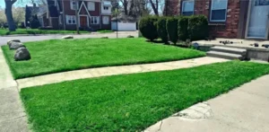 Read more about the article The Ultimate Guide to Growing a Lush, Green Lawn