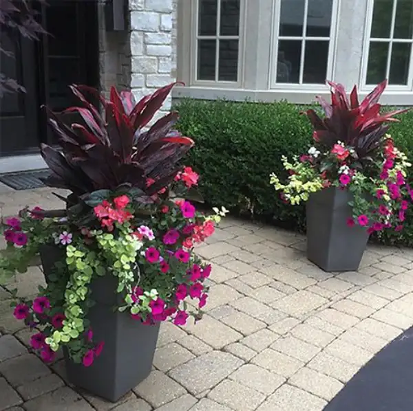 "Decorative outdoor planter showcasing vibrant flowers and foliage for garden décor."