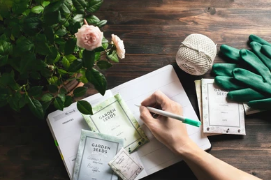 "Gardener planning seasonal planting schedule and garden layout in a journal."