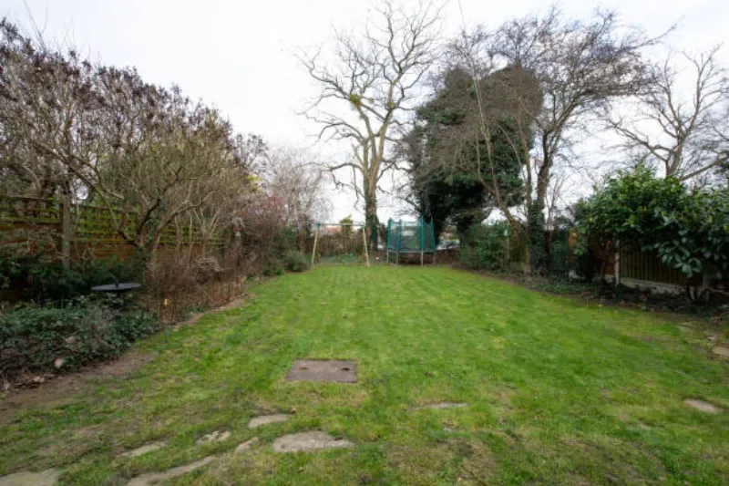 Read more about the article Common Lawn Care Mistakes That Are Ruining Your Grass (And How to Fix Them)