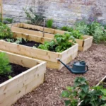 How to Build and Maintain a Raised Garden Bed