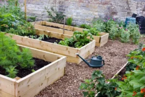 Read more about the article How to Build and Maintain a Raised Garden Bed